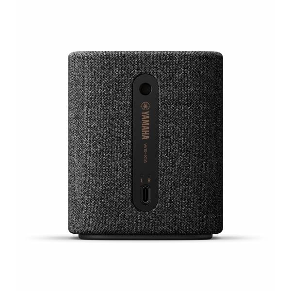 TRUE X Bluetooth speaker 1A WS-X1A Carbon Grey 