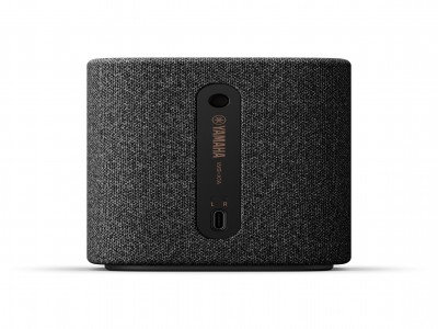 TRUE X Bluetooth speaker 1A WS-X1A Carbon Grey