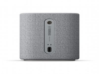 True X SPEAKER 1A Light Grey