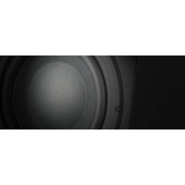 CT SW 10 Bowers & Wilkins