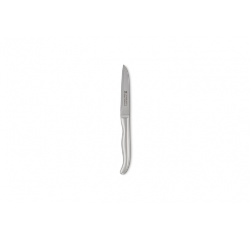Couteau d'office avec manche en inox 9cm Inox  Le Creuset