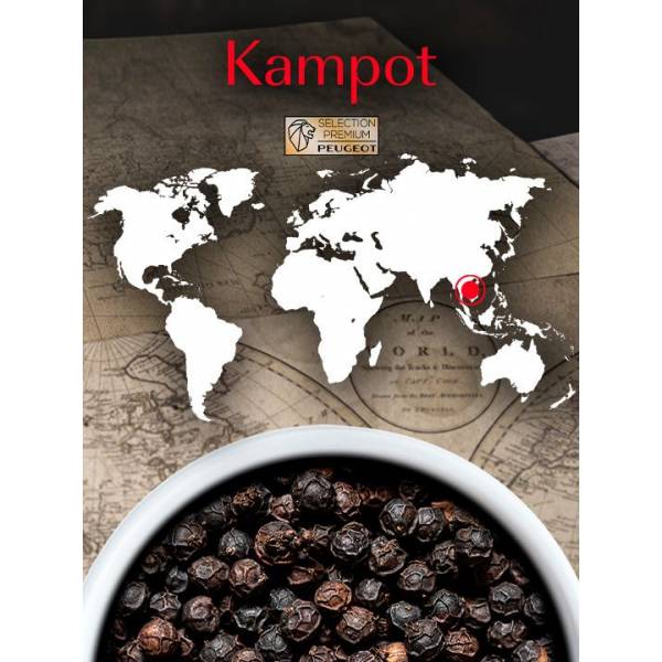 Kampot Zwarte peper uit Cambodja, 60 g - 3 vershoudzakjes van 20 g 