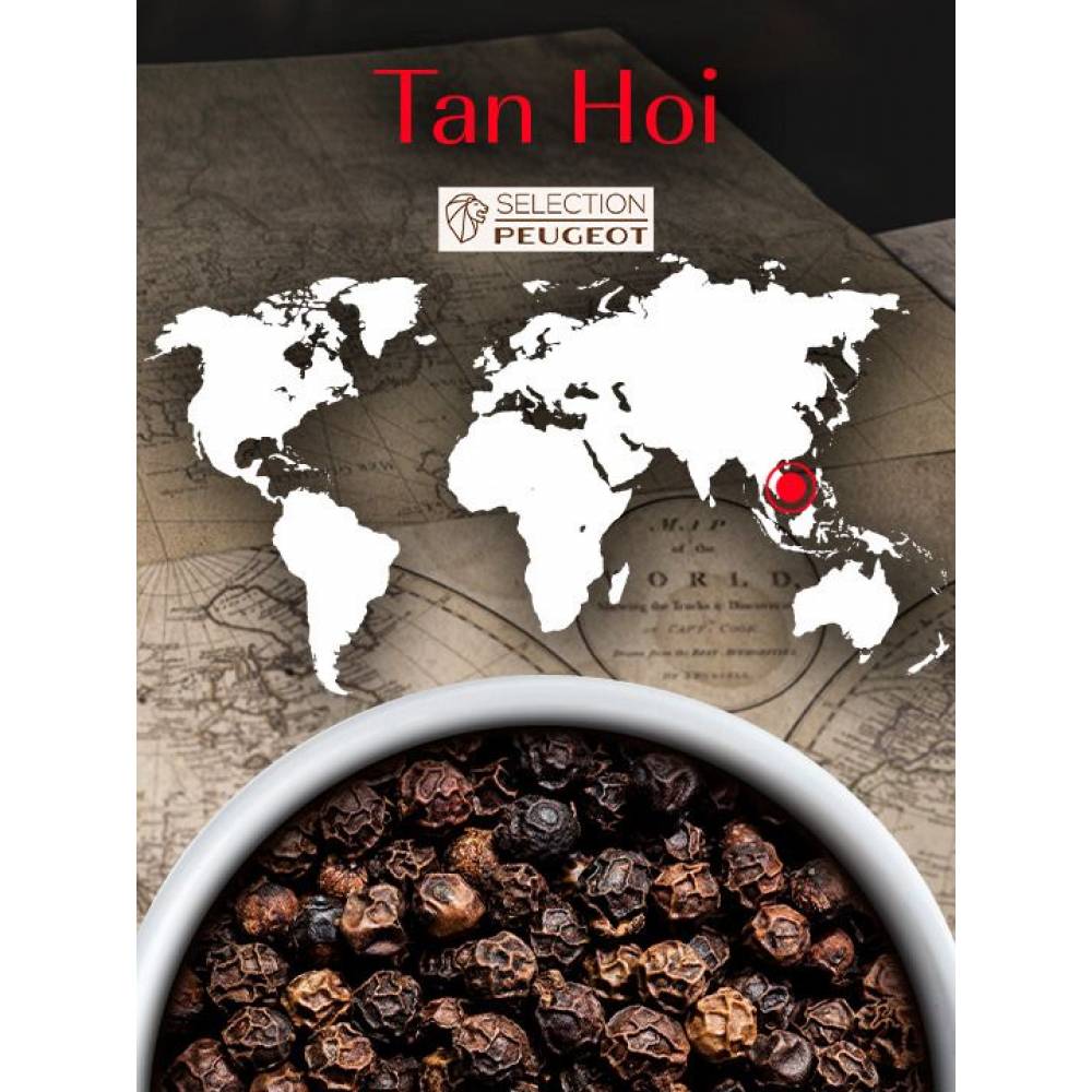 Peugeot Peper & zout Tan Hoi Zwarte peper uit Vietnam, 80 g - 4 vershoudzakjes van 20 g