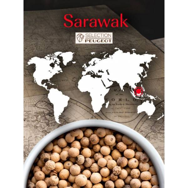 Sarawak Witte peper uit Maleisië, 80g - 4 vershoudzakjes van 20 g 