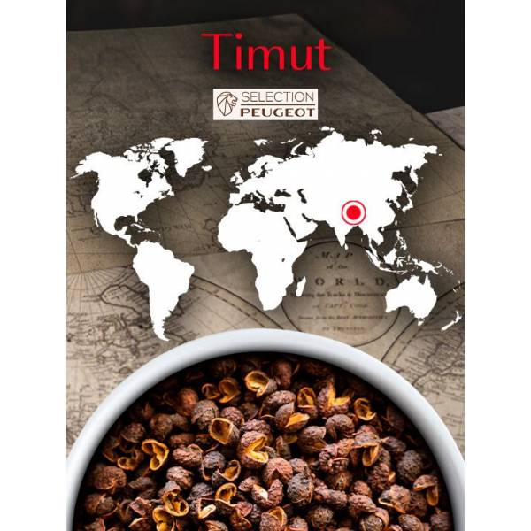 Timut Wilde peper uit Nepal, 40 g - 4 vershoudzakjes van 10 g 