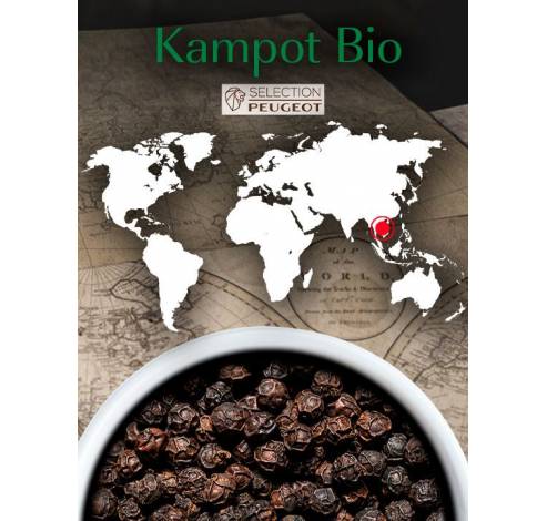 Kampot Bio Poivre noir du Cambodge, 60 g - 3 sachets de 20 g  Peugeot