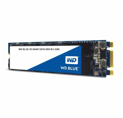 Blue SSD 1TB M.2  Western Digital