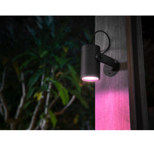 Hue Lily Buitenspot Extension  Philips Lighting