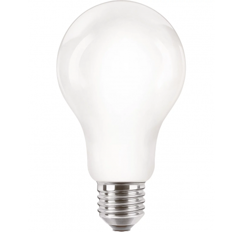 LED-lamp E27 A67 13W-120W CW            Philips Lighting