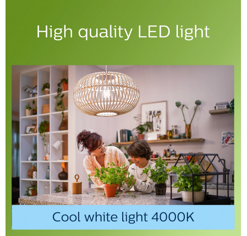 LED-lamp Fil E27 A60 4W-60W CW 4000K    Philips Lighting