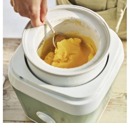 ICE31GE Machine à crème glacée et sorbet  Cuisinart
