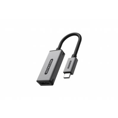 USB-C to DisplayPort 1.4 adapter 