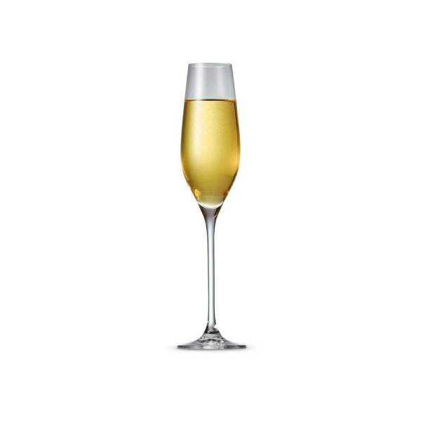 Salt & Pepper Champagneglazen Cuvee champagneglas set/6
