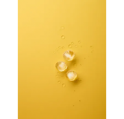 Moule à 11 glaçons en caoutchouc coquilles jaune avec couvercle  Lékué