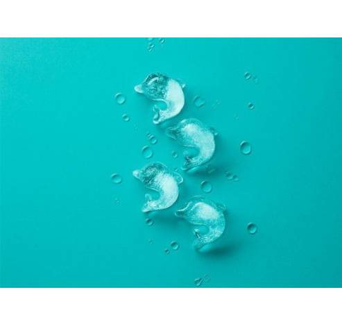 Ijsblokjesvorm uit rubber voor 11 dolfijnen aquablauw met deksel  Lékué