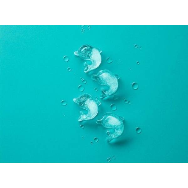 Ijsblokjesvorm uit rubber voor 11 dolfijnen aquablauw met deksel 