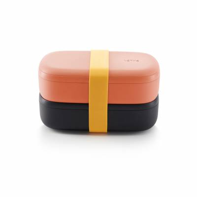 Dubbele lunchbox uit kunststof met silicone band zwart en roze 1L 