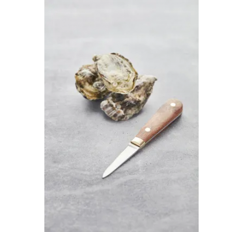 2delige set van oestermes en -houder in hout,rvs,kunststof 16x2.5x1.5cm  Point-Virgule