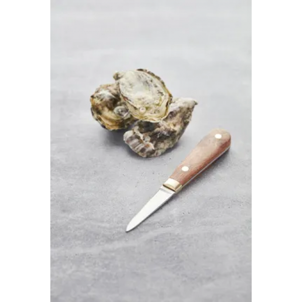 2delige set van oestermes en -houder in hout,rvs,kunststof 16x2.5x1.5cm 