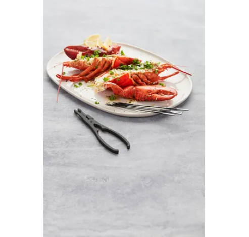 set fruits de mer 5 pcs - fourchettes et pince à homard en inox noir mat 17.5x3.5x1cm  Point-Virgule