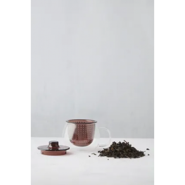 theemok met filter uit borosilicaatglas en kunststof aubergine 300ml 