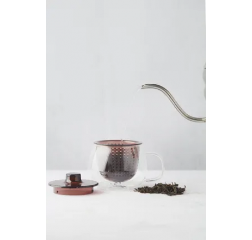 theemok met filter uit borosilicaatglas en kunststof aubergine 300ml  Point-Virgule
