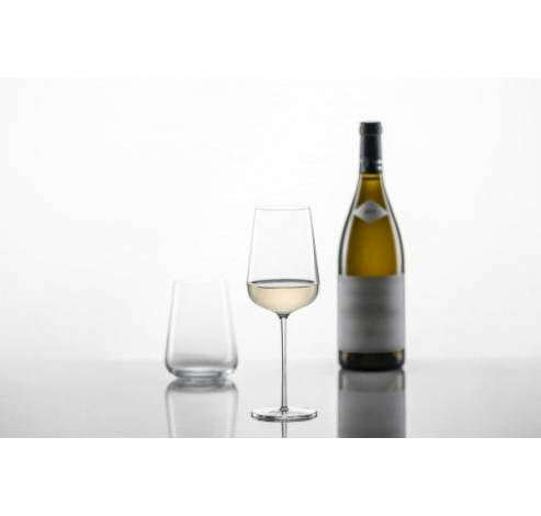 Vervino Riesling witte wijnglas  Schott Zwiesel
