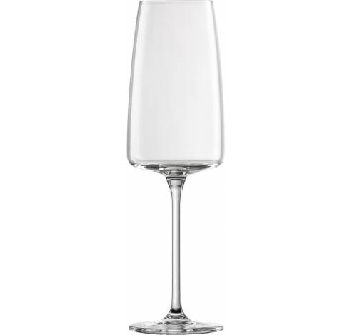 2510577000  Schott Zwiesel