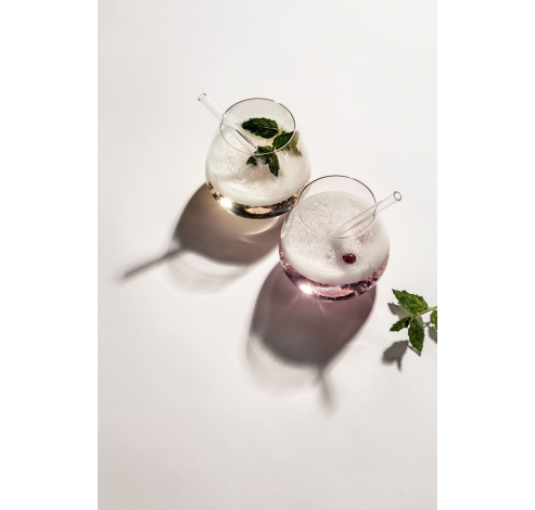 Ensemble de 4 verres à cocktail Vina  Schott Zwiesel