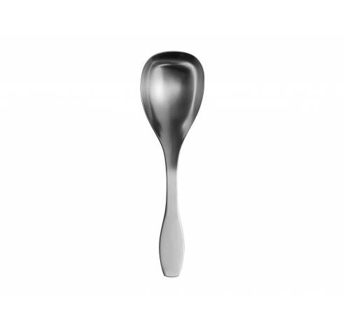 Collective Tools serving spoon big  Iittala