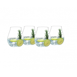 Riedel Gin Tonic set