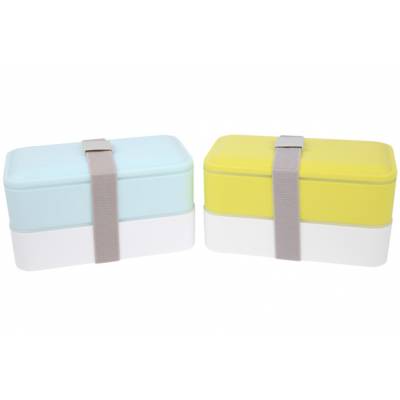 Lunchbox 2pcs A. Strap Gris 2ass 2x600ml Bleu-vert 18.5x10.9xh10.9cm A. Couverts  Cosy & Trendy