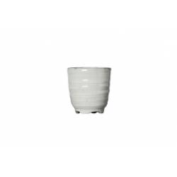 Avalon Sake Cup D5xh5cm 50ml  