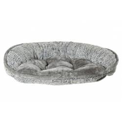 Pets - huisdieren
