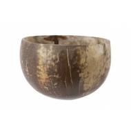 Coconut Bowl Bruin 35-50cl D12xh6cm - Polished 