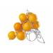 Sinaasappel-houder 32x32xh27cm Wire  