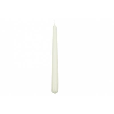 Bougie Pointue Set50 Blanc H240xd22mm   Cosy & Trendy