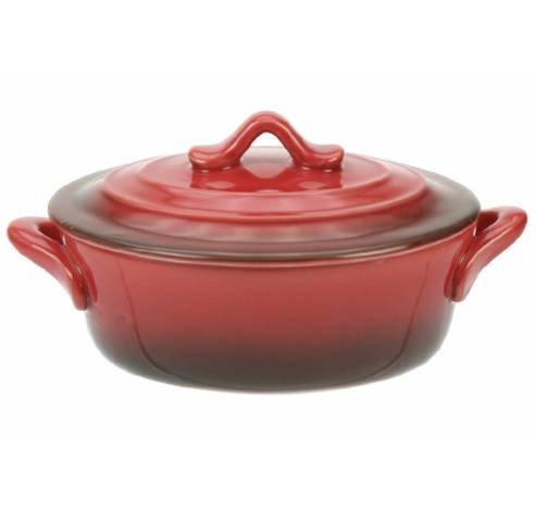 Red Ovenschotel Met Deksel 0,5l 16,5x13x H6cm Ovaal  Cosy & Trendy