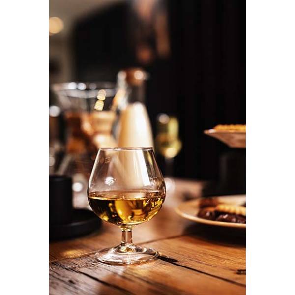 Spirit Bar Brandy Cognacglas 25cl  