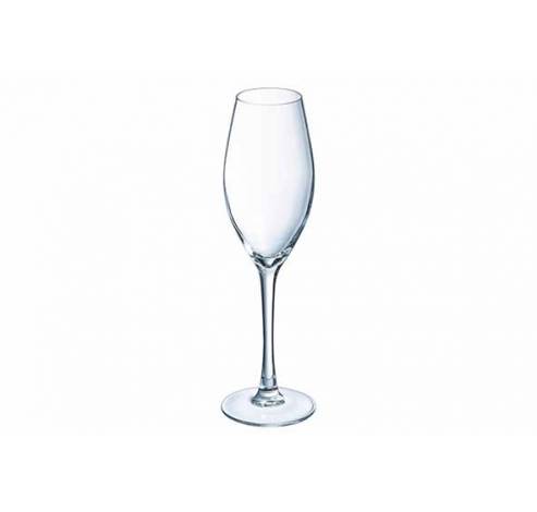 Grand Chais Verre Champagne 24cl Set4 D6,9xh23,5cm  Luminarc