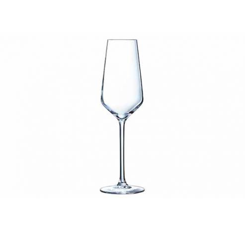 Ultime Champagneglas 23cl Set4 D7xh23,2cm  Cristal d'Arques