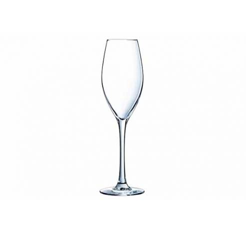 Wine Emotions Champagneglas 24cl Set4 D6,9xh23,5cm  Cristal d'Arques