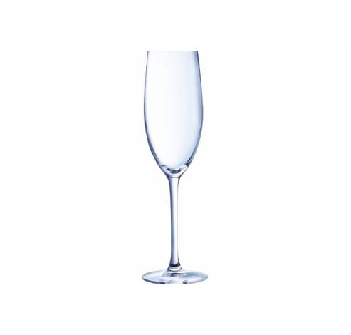 Cabernet Champagneglas 24cl Set6 ***   Chef & Sommelier