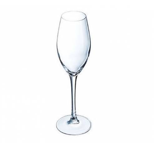 Sequence Verre Champagne 24 Cl Set 6   Chef & Sommelier