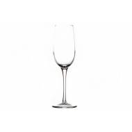 Spazio Champagneglas 19cl Set3  