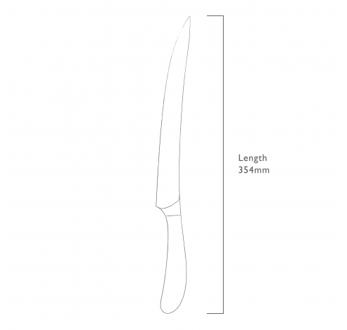 Signature vleesmes uit rvs 23cm  Robert Welch