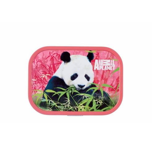 Campus Lunchbox Animal Planet Panda  Mepal