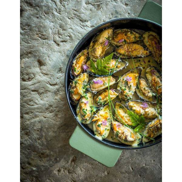 Surface Braadpan Enamel Cast Iron Camogreen D26 - 2,6l 