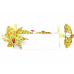 Decoratie bloemen/fruit/stenen