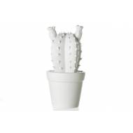 Cactus Blanc Ceramique 9x9x17cm  